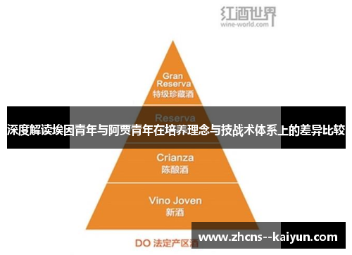 深度解读埃因青年与阿贾青年在培养理念与技战术体系上的差异比较 深度解读埃因青年与阿贾青年在培养理念与技战术体系上的差异比较