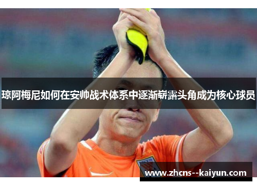 琼阿梅尼如何在安帅战术体系中逐渐崭露头角成为核心球员