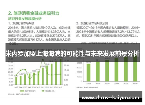 米内罗加盟上海海港的可能性与未来发展前景分析